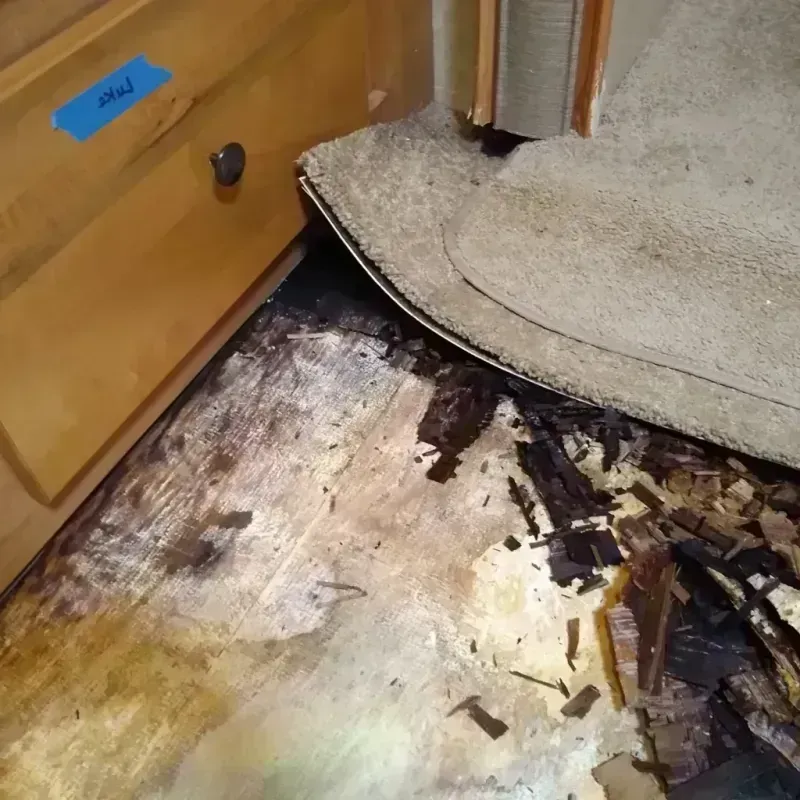 Wood Floor Water Damage in Texarkana, TX